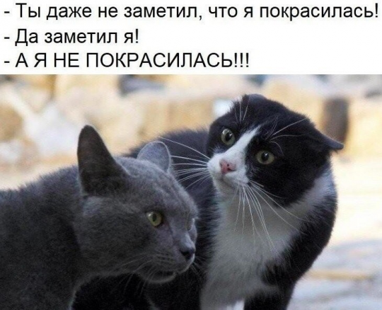 Очень пошлые картинки про это.18+