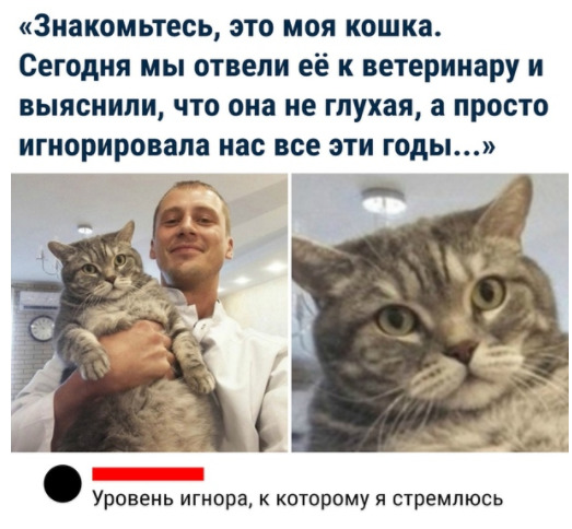 Чуток картинок 23.07.20