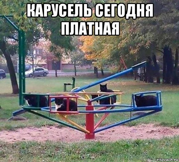 Немного картинок для настроения 30.08.20