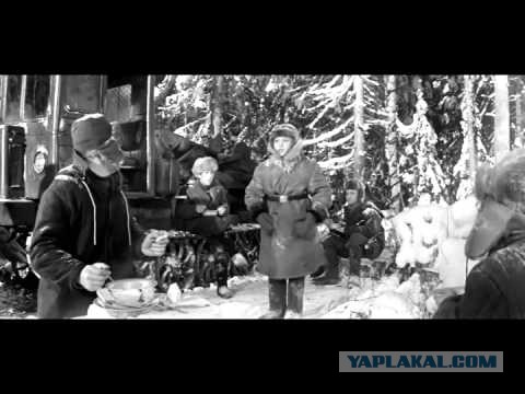 Картофельный салат по-корейски.