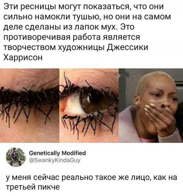 Роман Бабаян и баян