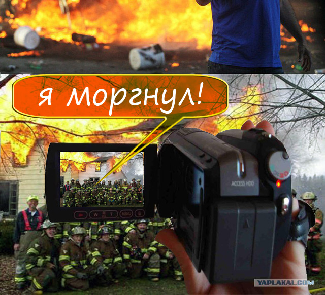 Фотожаба: Что же его так заинтересовало?
