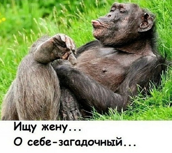 Отовсюду обо всём