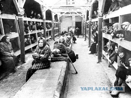 За нашу и вашу свободу