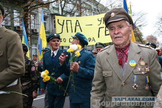 Последний хит Януковича