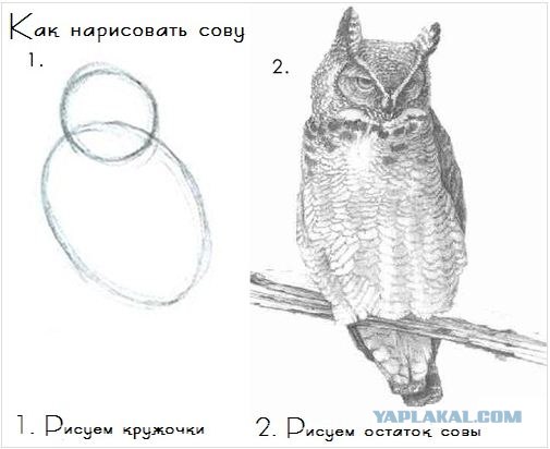 Колёса будущего