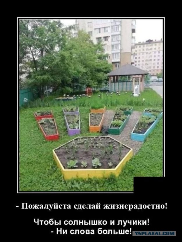 Картинки и мемы для настроения 09.06.2021