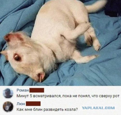 Картинки на четверг 10.06.2021