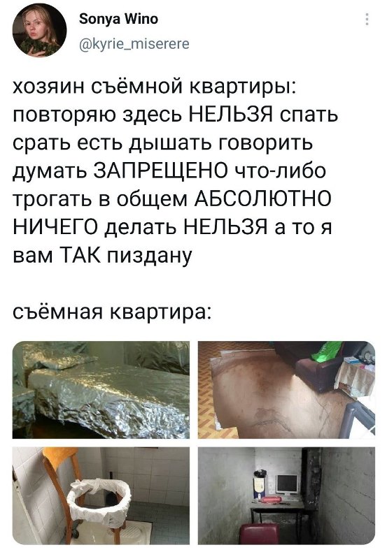 Картинки и мемы для настроения 15.07.2021