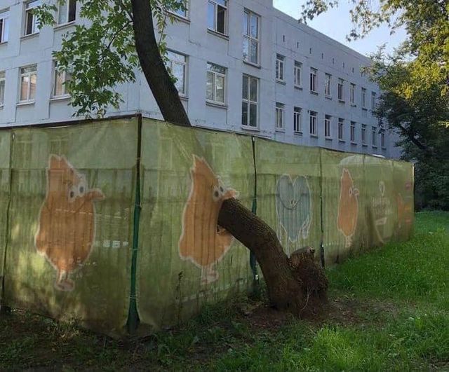 Так себе картинки 01.10.21