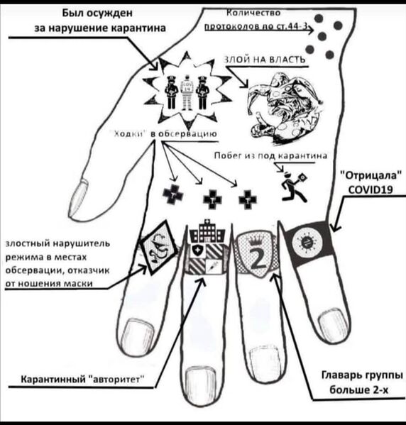 Пандемия. Коронавирус. Россия и мир. Последняя информация. Часть 25