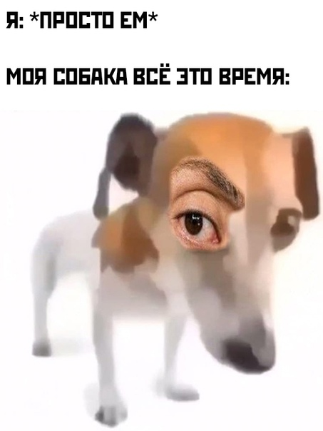 Картинки и мемы для настроения 28.10.2021