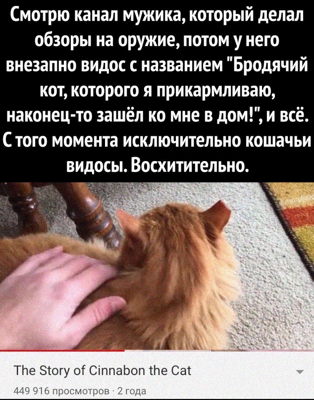 Картинки и мемы для настроения 18.01.2022