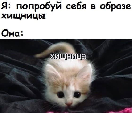 Немного пошлых картинок в ленту