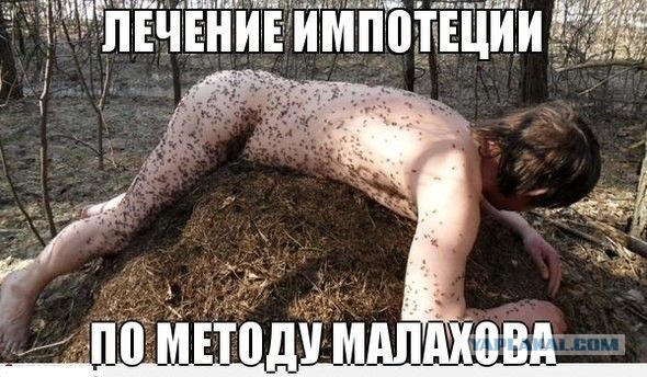 Пятница. И немного слегка пошлых картинок с надписями и без 16+ (01.04)