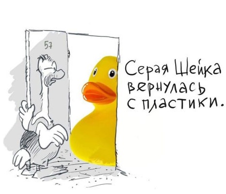 Пятница. Вечер. Картинки всякие #12