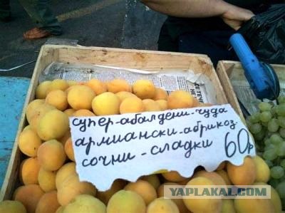 Обьявления