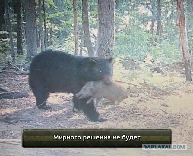 Видео из Харькова