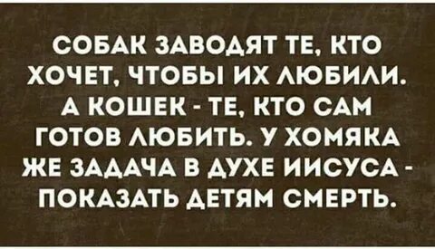 Грызуносуббота, продолжаем