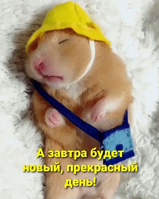 Прикольные и просто красивые картинки 27.12.2022