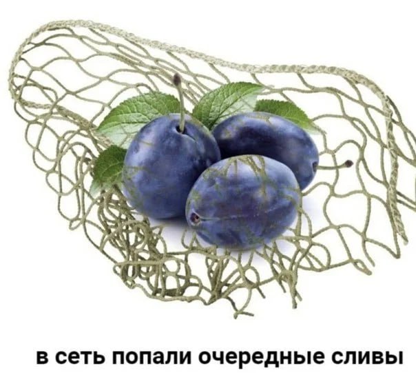 Картинки и мемы, выходные продолжаются