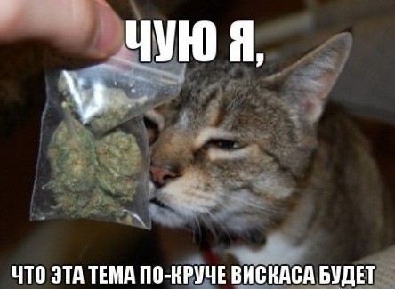 Несколько любопытных фактов о конопле