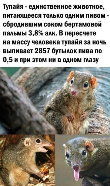 Дело было вечером, хотелось, а послать было не кого