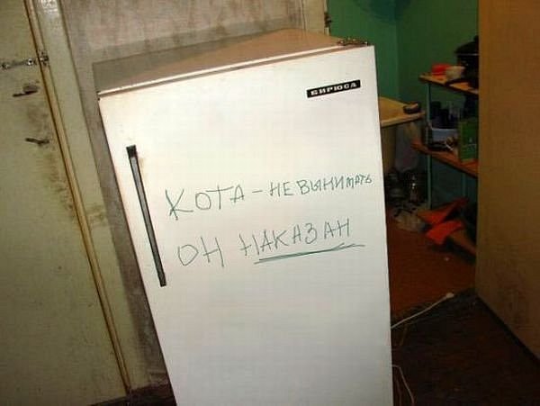 Мемасы из мемори