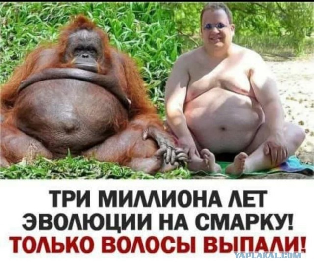 Немного картинок разной степени новизны и адекватности