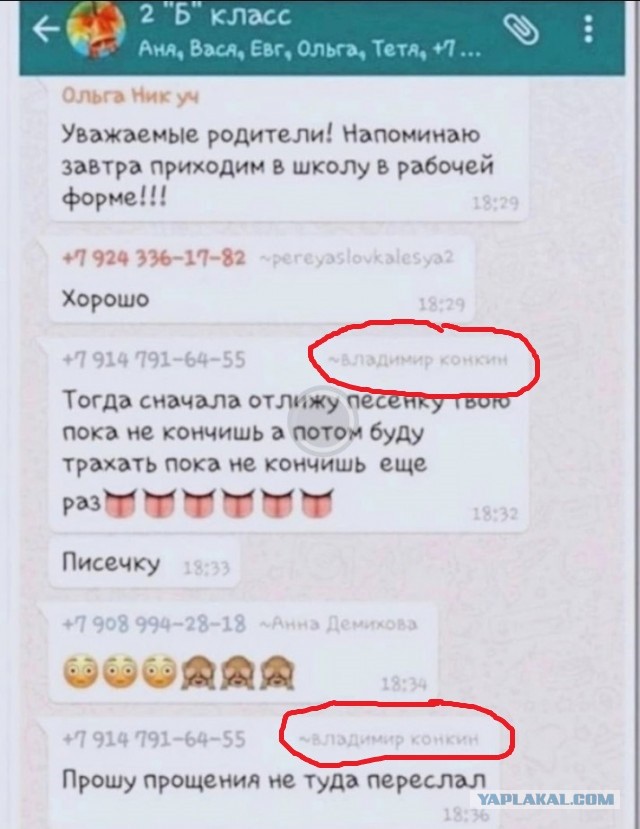 Всего понемногу. От 03.08.23