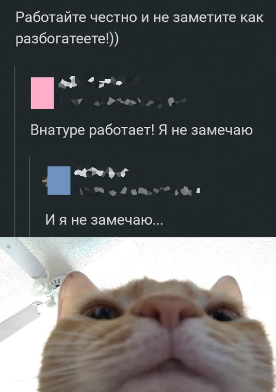18471197.jpg