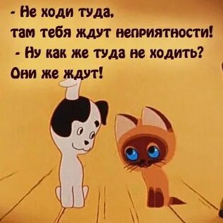 ДНК-экспертиза освободила от уплаты алиментов на 5 детей жителя Барановичского района