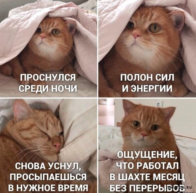 Тлидцать тли от 12 маЛта