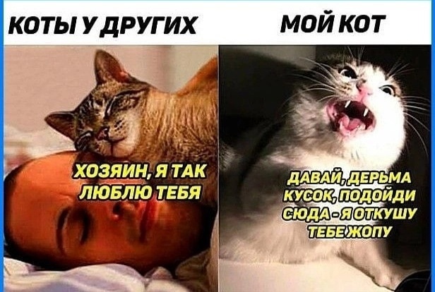 Так себе картинки 28.05.24