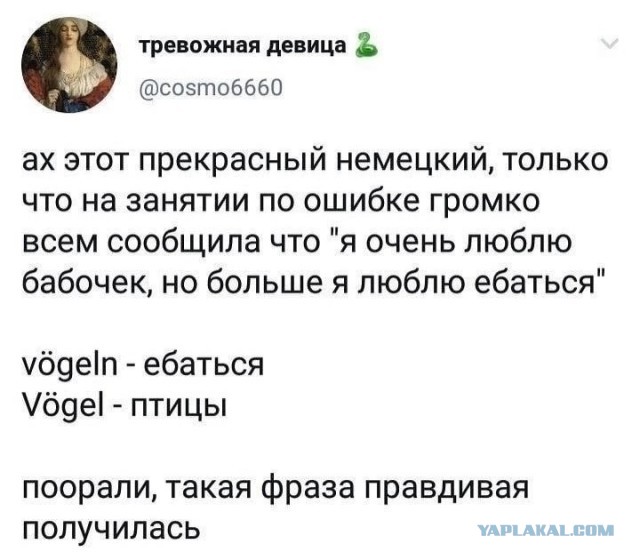 Так себе картинки 02.11.24