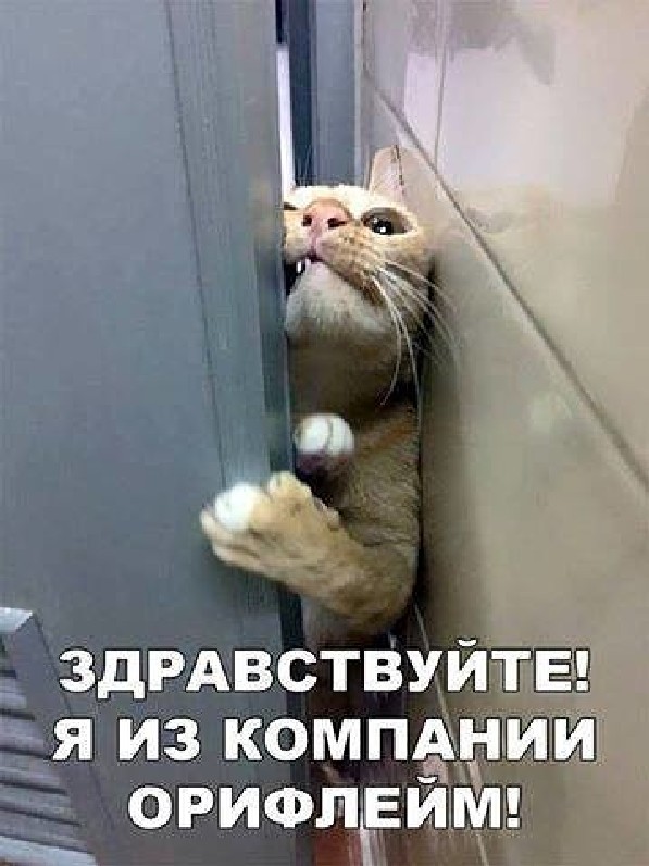 Я не договорила картинка