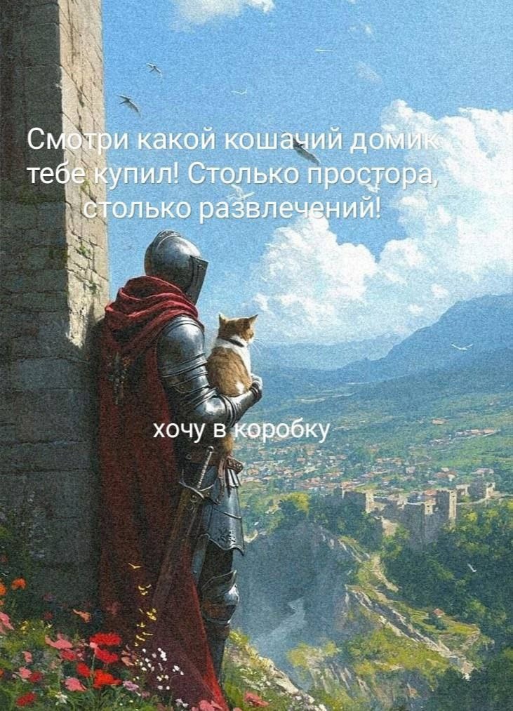 Так себе картинки 04.02.25