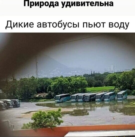 Юмор в картинках за пол дня и клуб приемных детей
