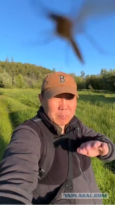 Якут дело говорит