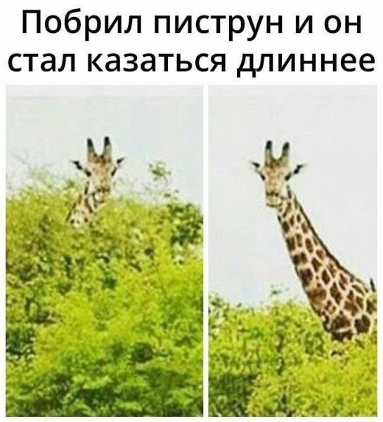 Для настроения