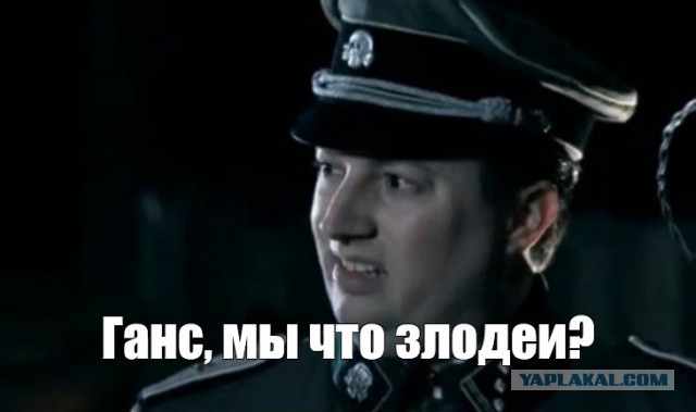 Мобики и контракт