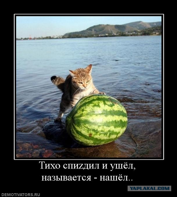 Видно, что-то пошло не так...