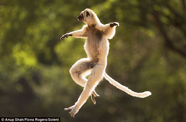 Новый облик полиции