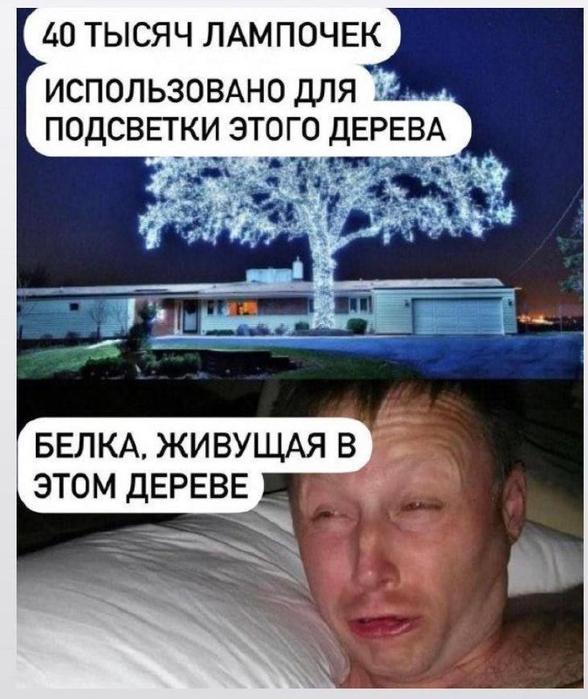 Картинки для деградации 97 (разной степени свежести)
