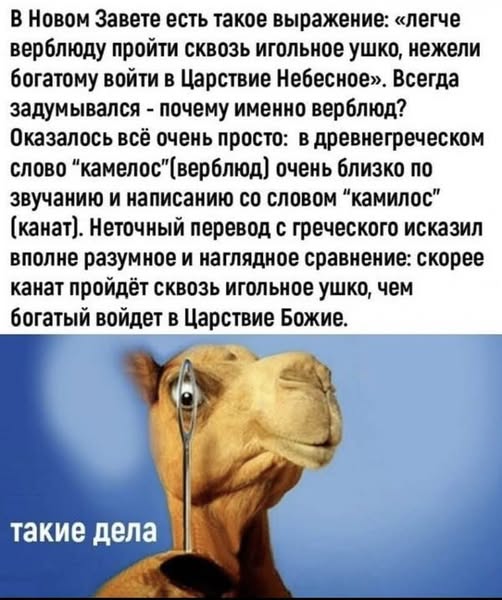 Веселые картинки в пятницу (16.01)
