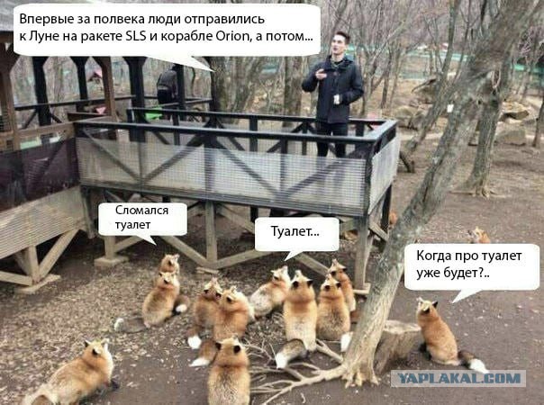 Летящие к Луне астронавты миссии «Артемида II» снова остались без туалета