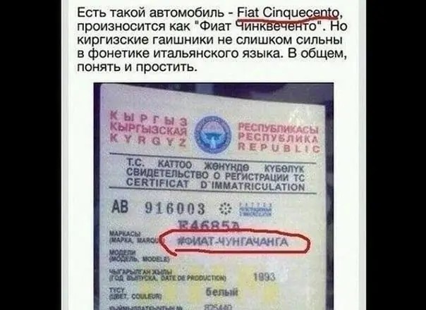 Восток дело тонкое