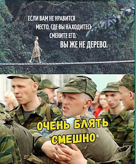 Веселые картинки в понедельник (25.05)