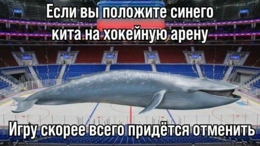 Немного забавных картинок на пятницу