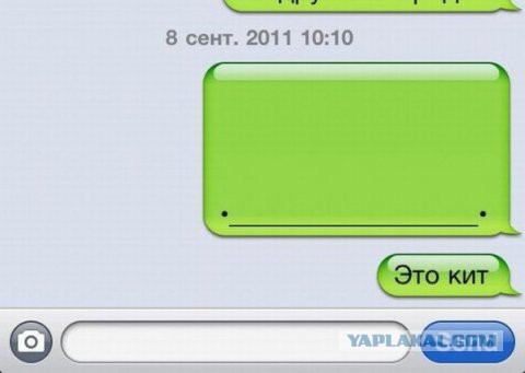 Тема для юмора